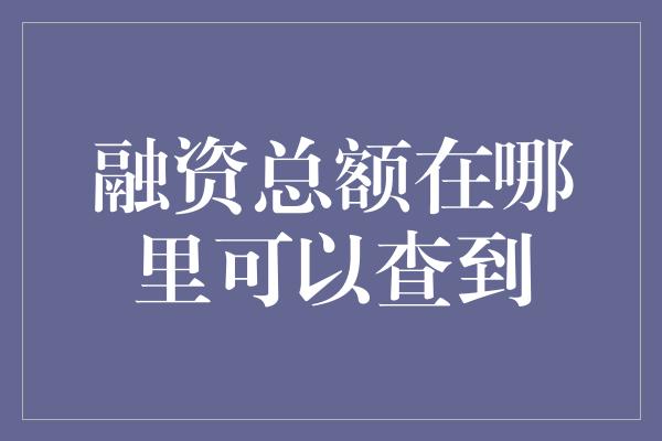 融资总额在哪里可以查到