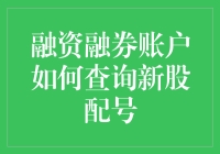 融资融券账户新股配号查询全攻略