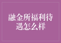 融金所福利待遇全面解析：塑造卓越员工福利体系