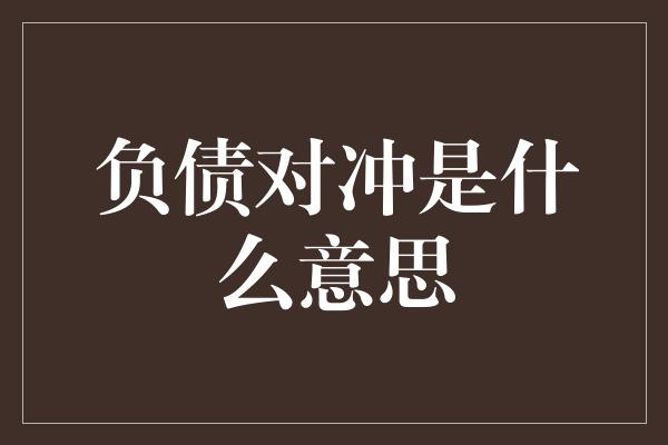 负债对冲是什么意思