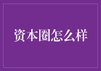 资本圈的风向标：探寻其背后的投资逻辑与行为模式