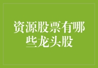 资源龙头股：引领市场风向的坚实壁垒