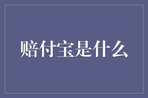 赔付宝是什么