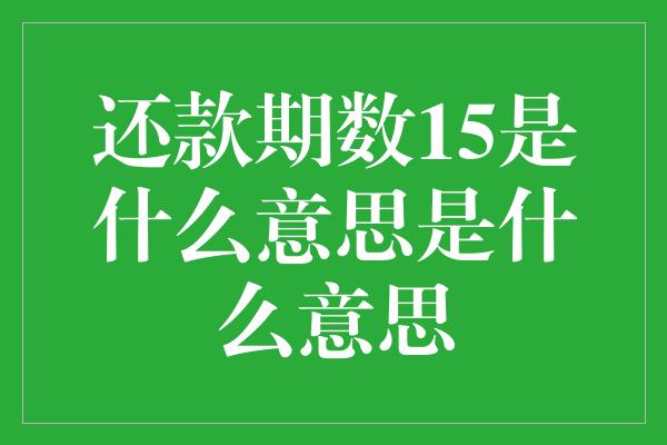 还款期数15是什么意思是什么意思