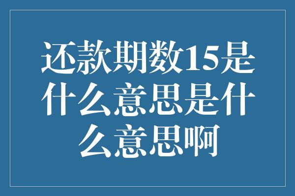 还款期数15是什么意思是什么意思啊