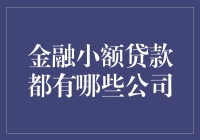 金融小额贷款：从个人到企业，多样化的贷款选择