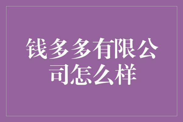 钱多多有限公司怎么样