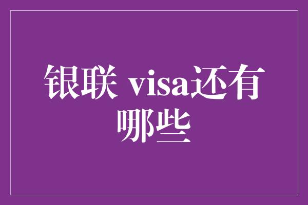 银联 visa还有哪些