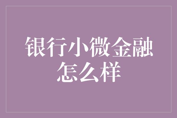 银行小微金融怎么样