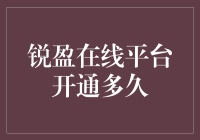 锐盈在线平台开通已满半年：探索其稳定性和安全性