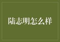 陆志明的奇妙探险：从职场新人到江湖大佬