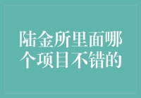 陆金所理财项目分析：投资方向与风险评估