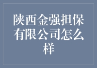 陕西金强担保有限公司：助力中小微企业稳步前行的金融桥梁