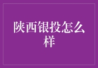 陕西银投：西部金融的崛起？还是发展中的挑战？