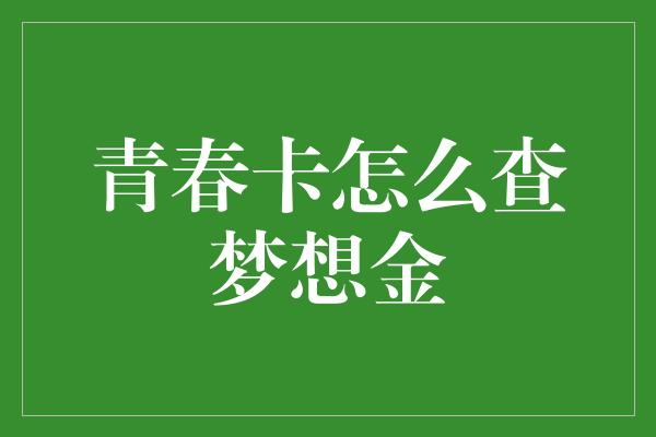 青春卡怎么查梦想金