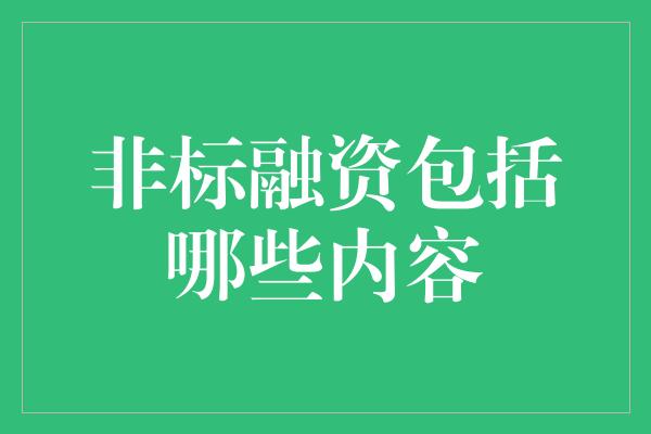 非标融资包括哪些内容