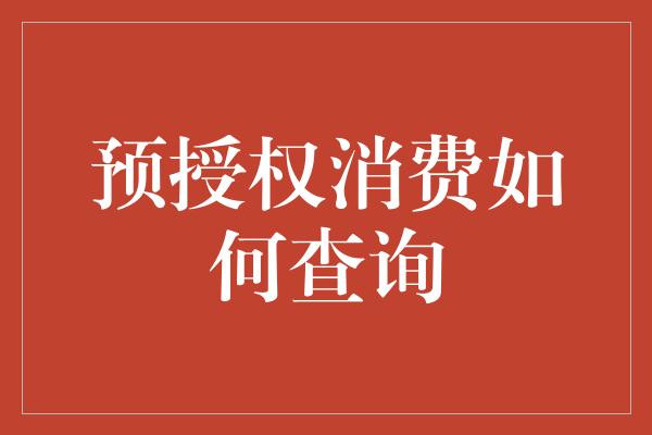 预授权消费如何查询