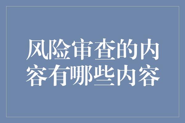 风险审查的内容有哪些内容