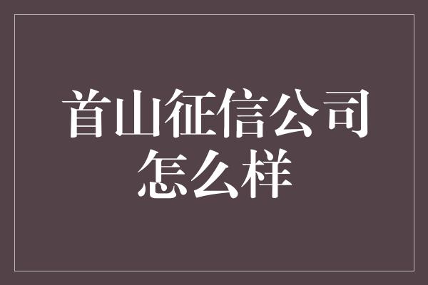 首山征信公司怎么样