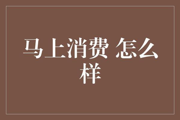 马上消费 怎么样