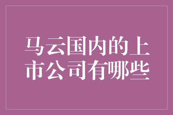 马云国内的上市公司有哪些