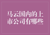 马老师和他的上市公司：国内上市家族企业鉴赏指南