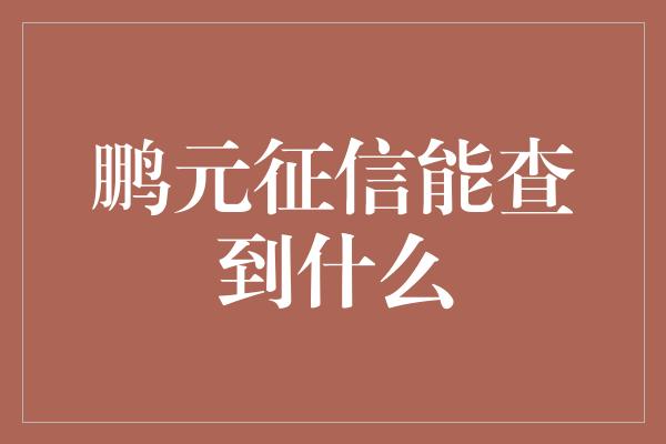 鹏元征信能查到什么