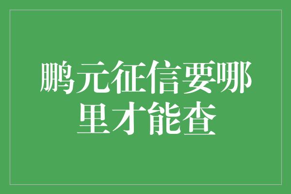 鹏元征信要哪里才能查