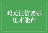 鹏元征信信息查询渠道及其重要性剖析