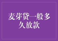 麦芽贷放款速度解析：专业视角下的贷款审批与资金到账时间