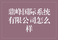 鼎峰国际系统有限公司：一个不谈理想只谈钱想的地方