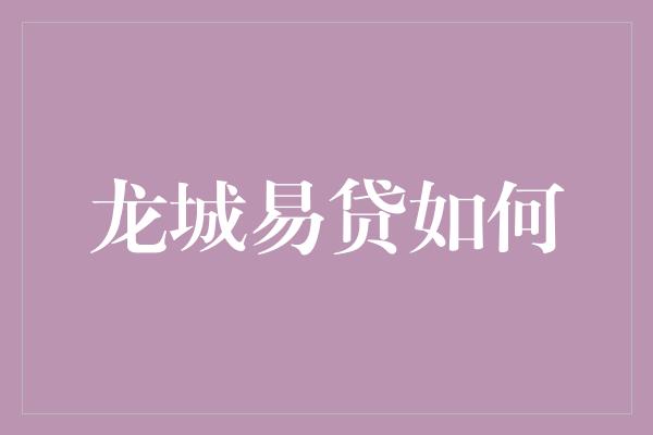 龙城易贷如何