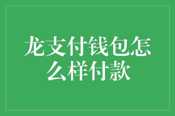 龙支付钱包怎么样付款