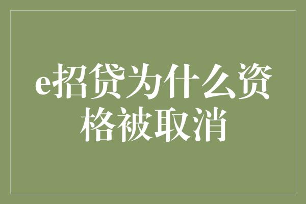 e招贷为什么资格被取消