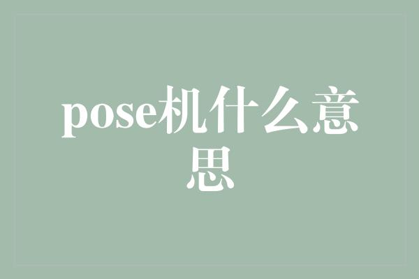 pose机什么意思