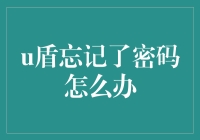 当你的U盾成了迷失中的密室逃脱谜题：忘记密码怎么办？