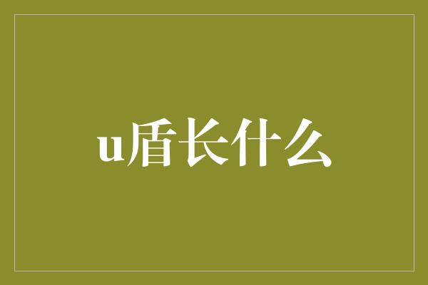 u盾长什么