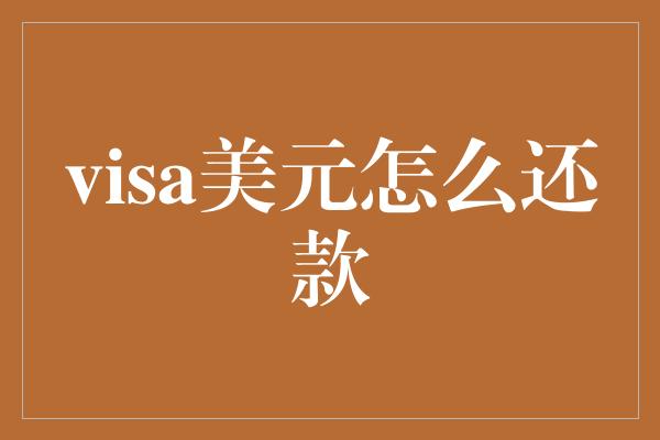 visa美元怎么还款